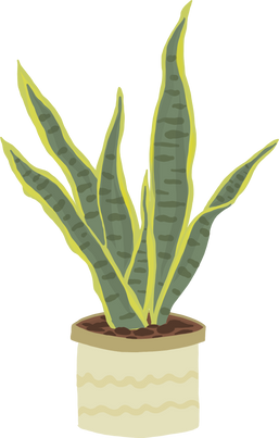 potted plant illustration